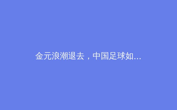 金元浪潮退去，中国足球如何重塑青训根基与职业精神